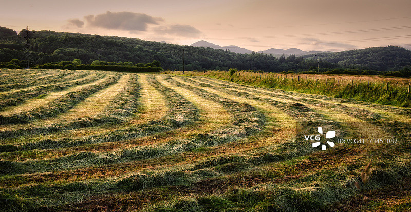 时光合集图片素材