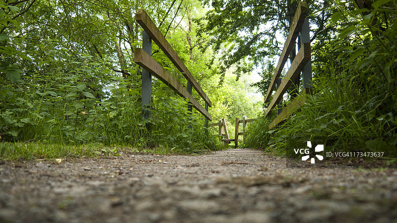 走道上的猪圈（低角度，木制）图片素材