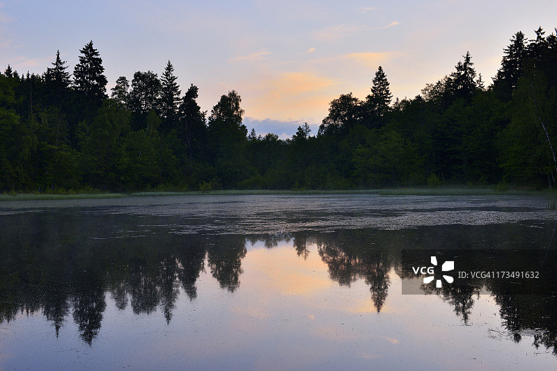 森林湖泊黎明时分图片素材