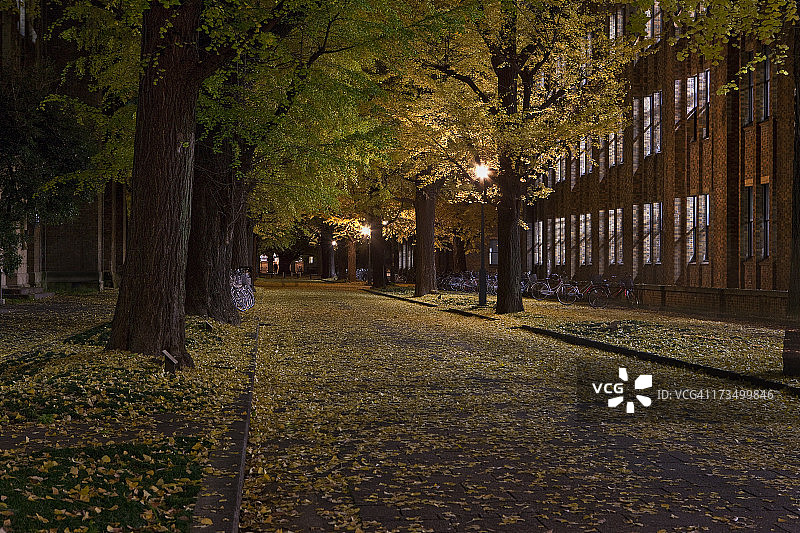 夜晚的秋色图片素材