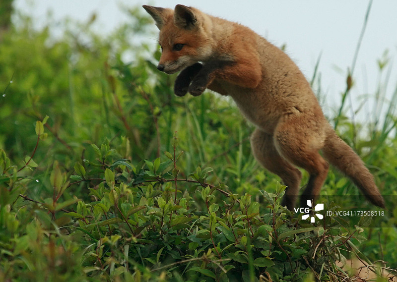 跃然纸上图片素材