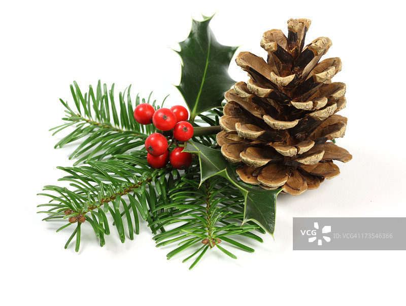 圣诞节场景图片素材