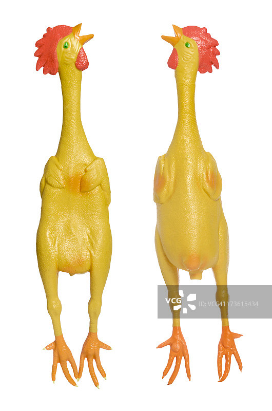 橡胶鸡图片素材