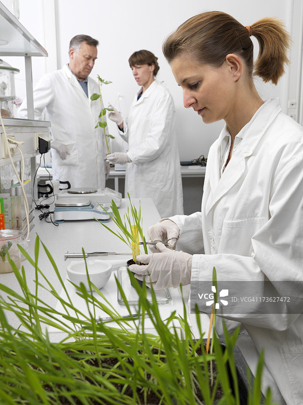 科学家工作场景图片素材