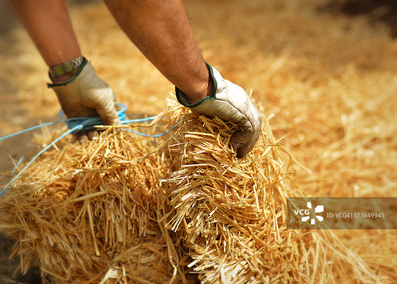 秸秆覆盖物图片素材