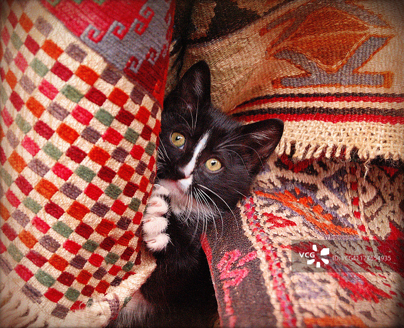 来自地毯的惊喜图片素材