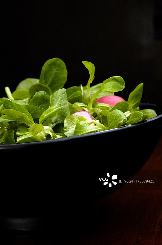 佳能沙拉图片素材