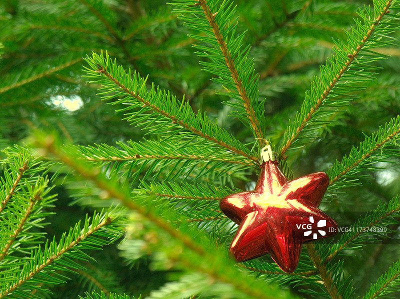 圣诞装饰3图片素材