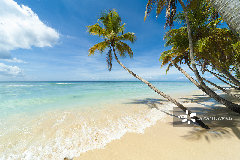 加勒比热带海滩图片素材