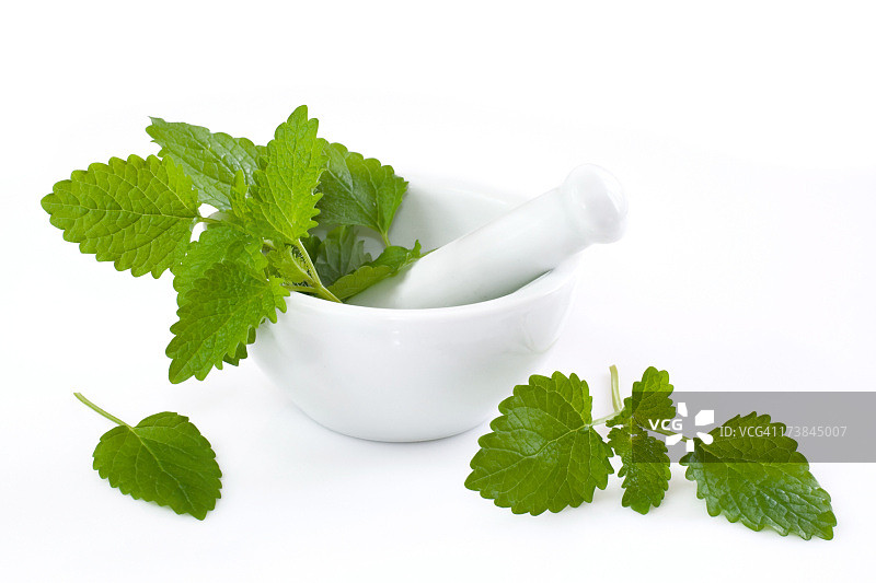 柠檬香蜂草图片素材