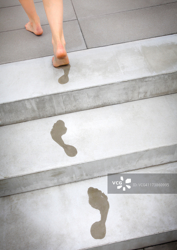 老砖墙和树根图片素材