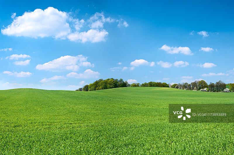 春季全景：草地、蓝天、白云图片素材