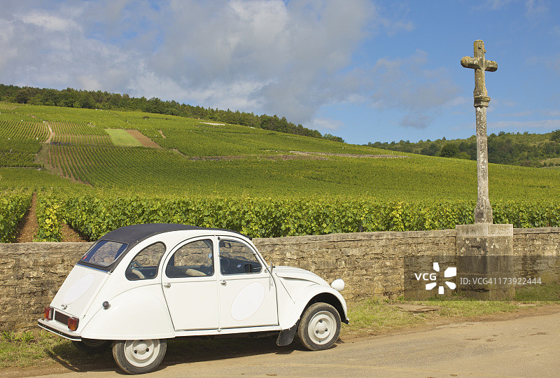葡萄园里的复古汽车图片素材