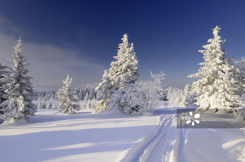 冬季仙境小路图片素材