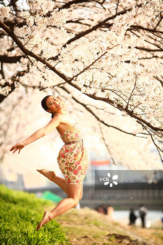 春天的喜悦  -  韩国顺天图片素材