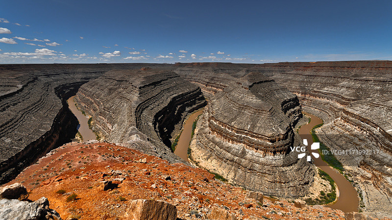珍珠菜图片素材