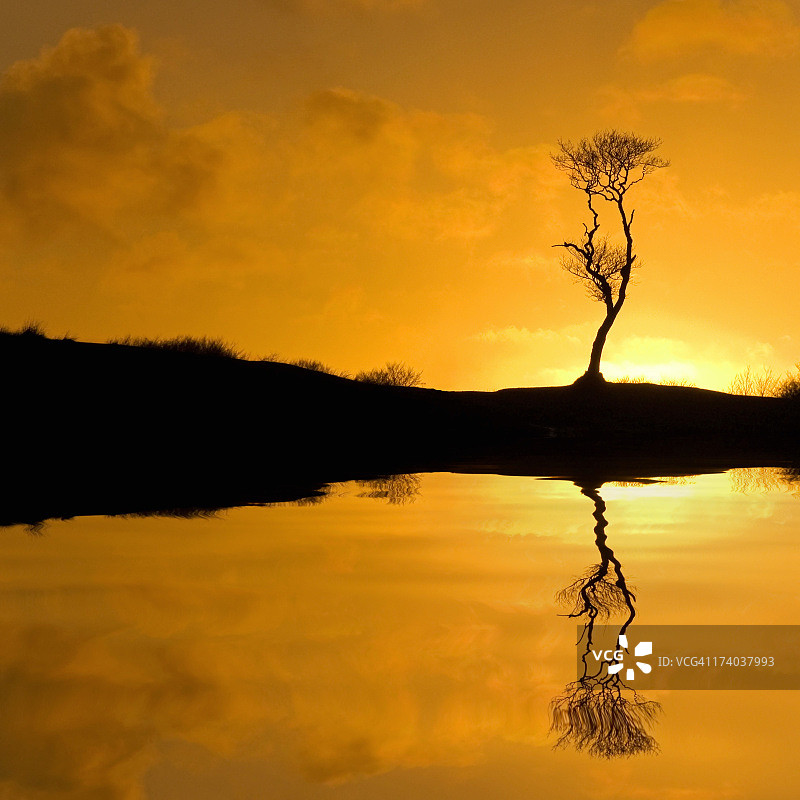 孤芳自赏者只看到自己的倒影图片素材