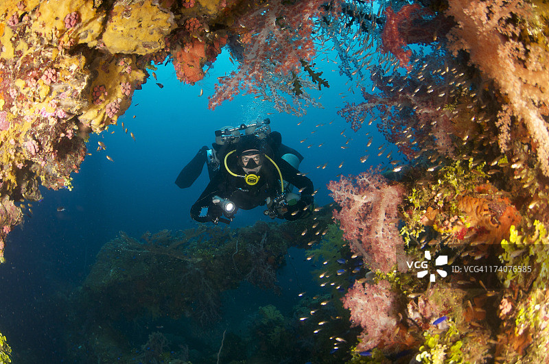 覆盖沉船的珊瑚礁上的潜水员图片素材