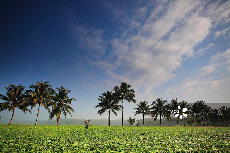 殡仪业者图片素材