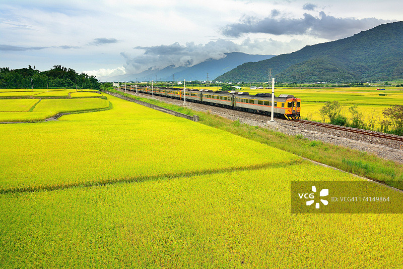 有火车的稻田图片素材
