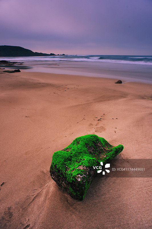 海边覆盖苔藓的岩石图片素材
