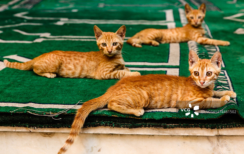 en系列图片素材