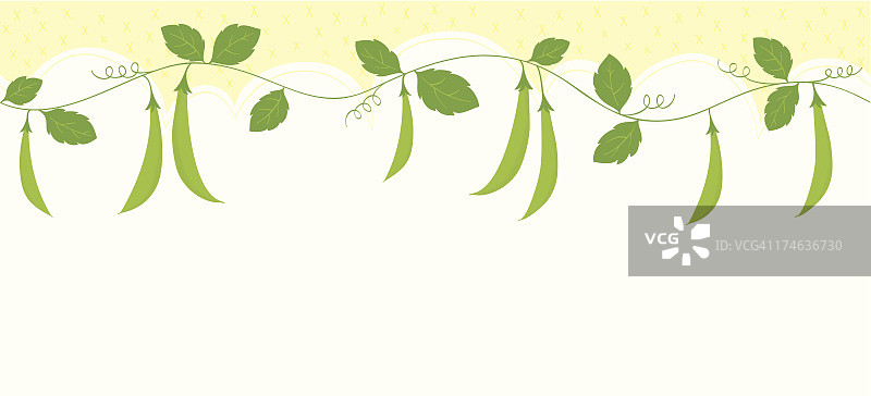 荷兰豆边框图片素材
