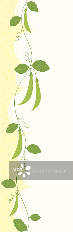 荷兰豆边框图片素材