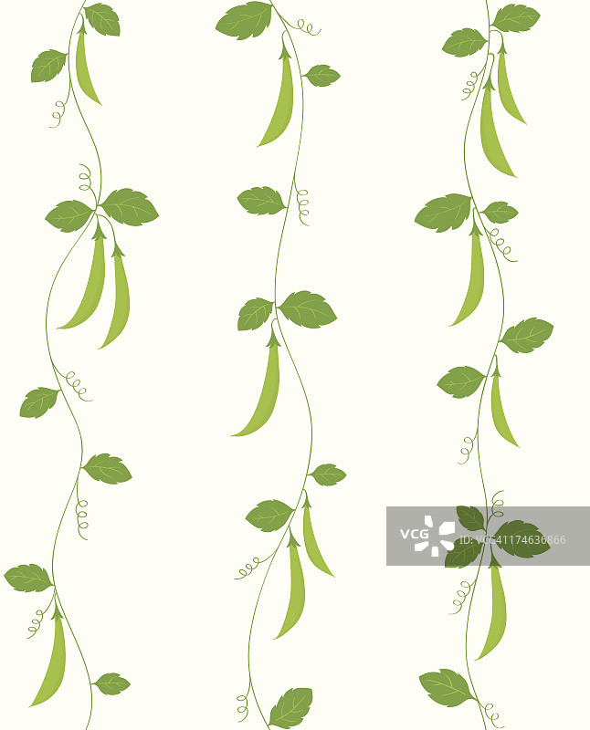 食用豌豆藤蔓图片素材