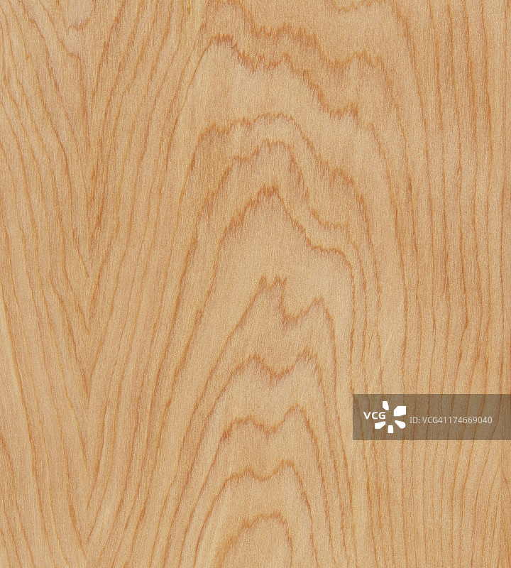 枫木纹理图片素材