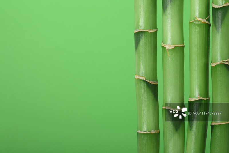 竹子的背景图片素材