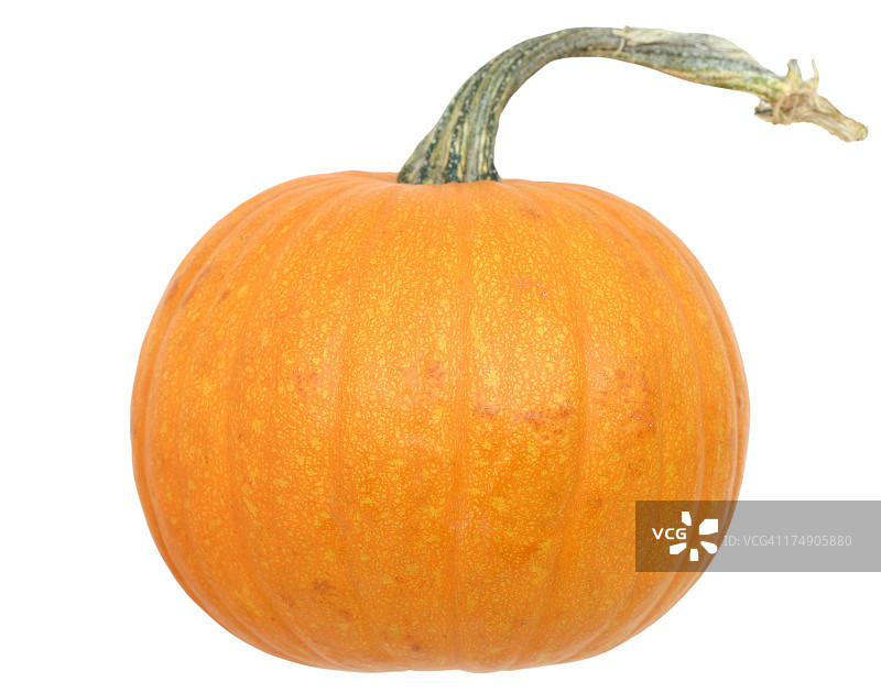 南瓜图片素材