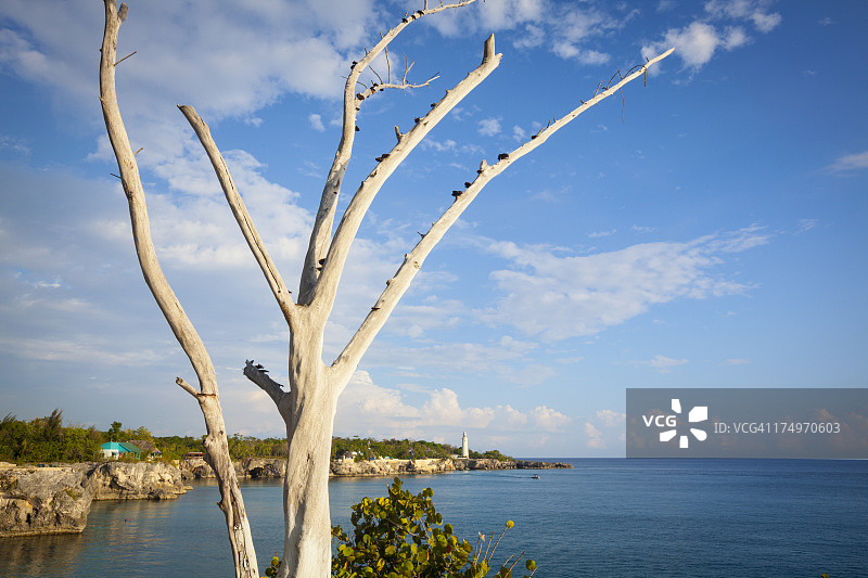 内格里尔崎岖的海岸线和灯塔图片素材