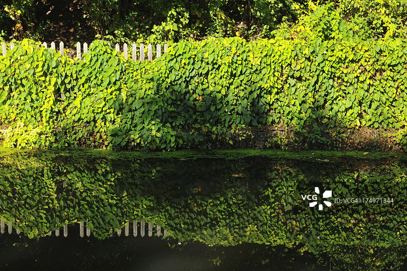 花园围栏图片素材