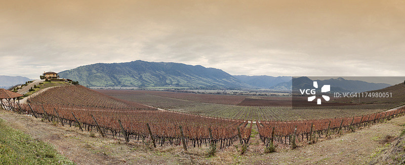 科尔查瓜山谷的圣克鲁斯葡萄园图片素材