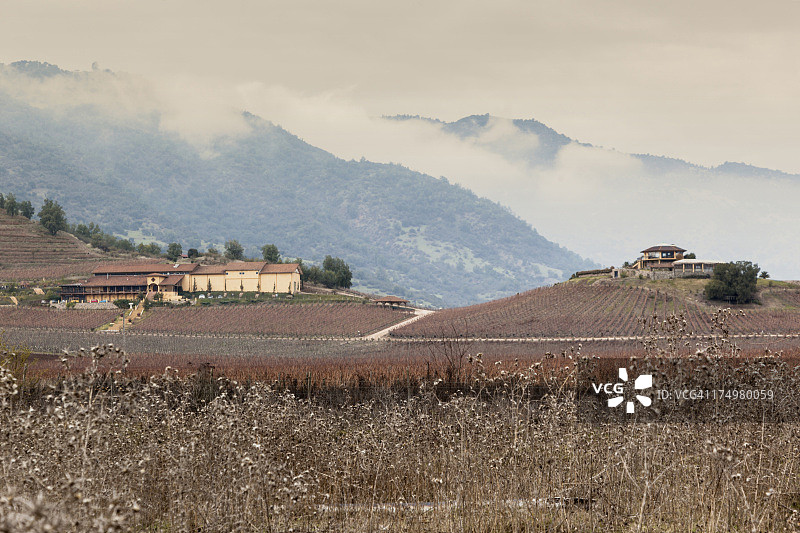 科尔查瓜山谷的圣克鲁斯葡萄园图片素材
