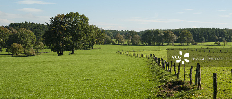 比利时斯塔沃洛附近的牧场景观图片素材
