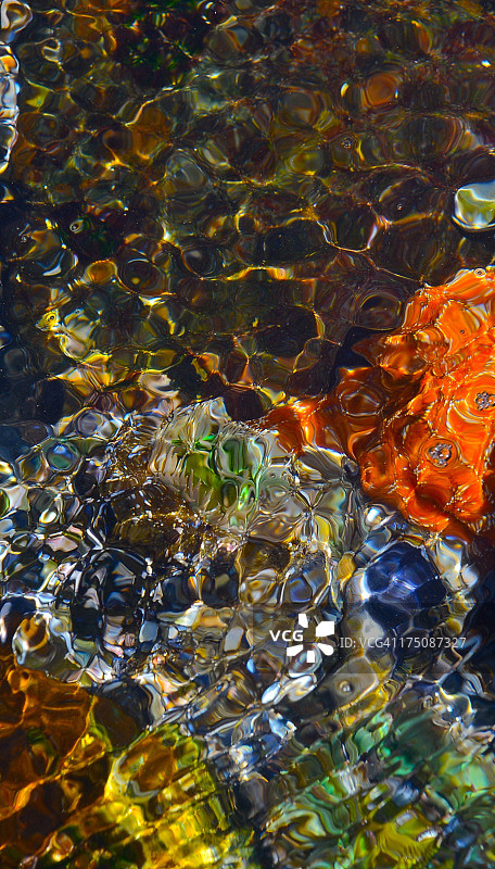 拉古娜的潮汐池图片素材