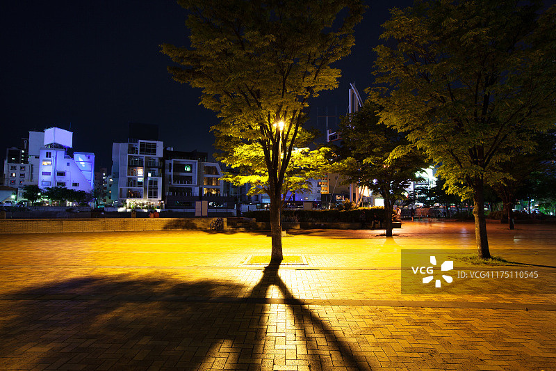 夜晚的中洲岛图片素材