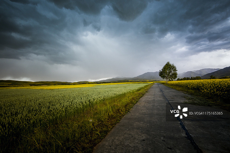 乡间小路图片素材