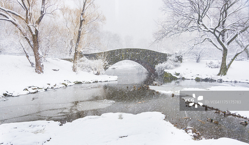 美国纽约中央公园冬季Gapstow桥图片素材
