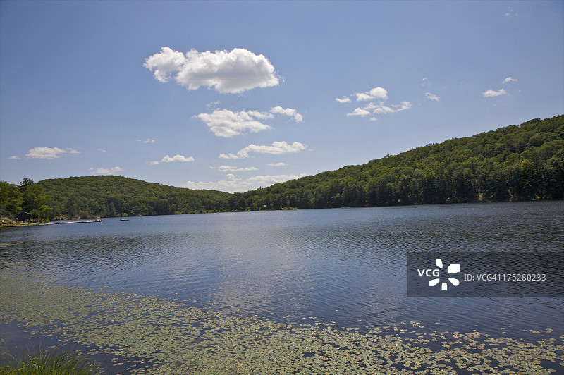 平静湖面上的睡莲图片素材