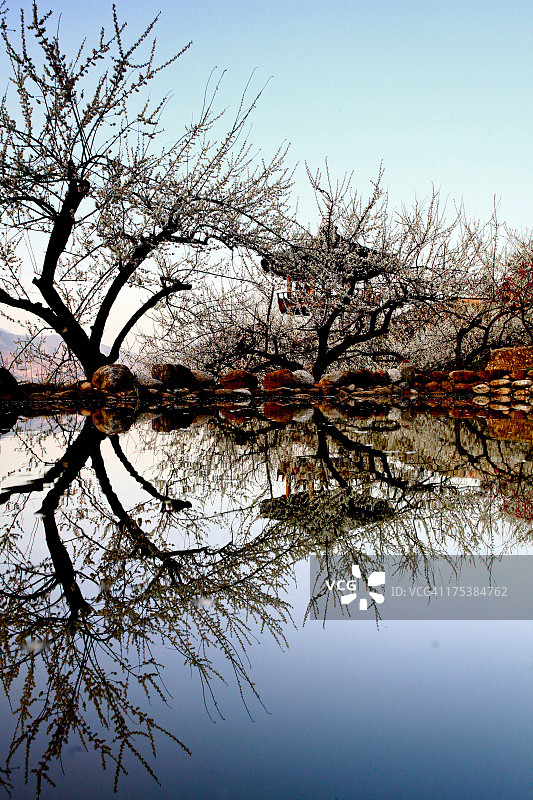 韩国光阳梅花村图片素材