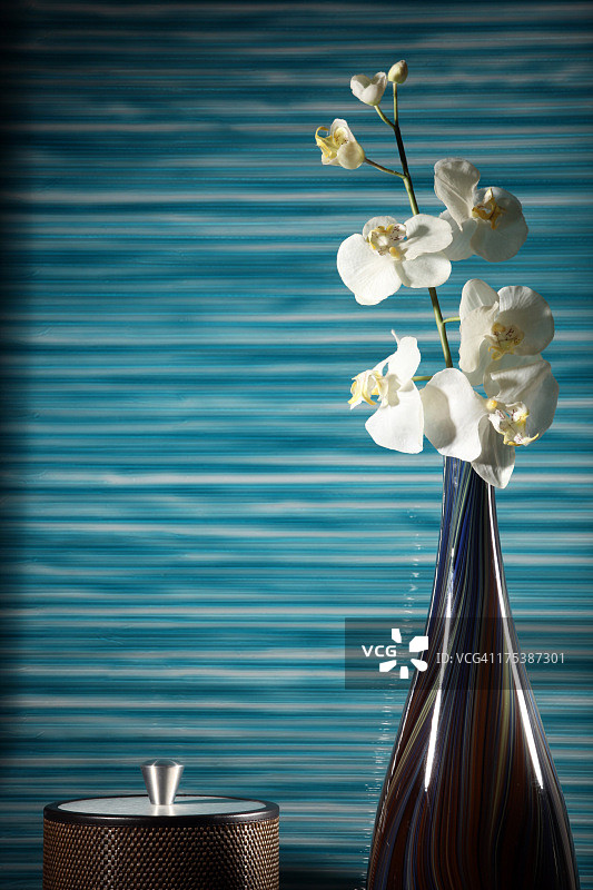 家居装饰：冰桶与人造兰花花瓶图片素材