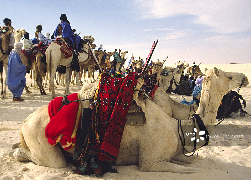 骆驼和图阿雷格骑手图片素材