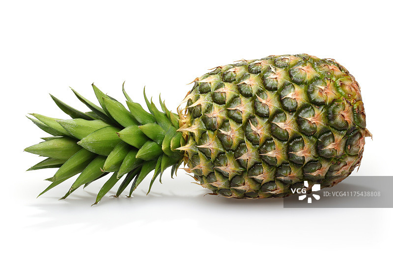 菠萝图片素材