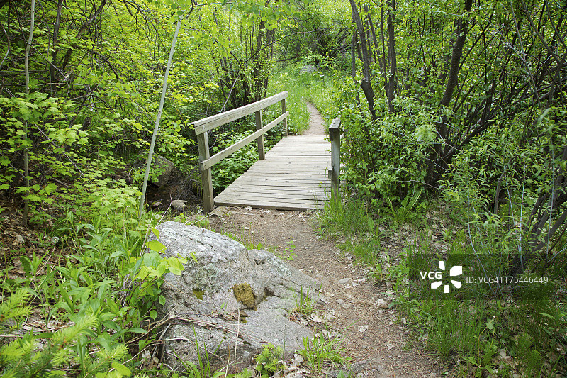 远足小径上的小桥图片素材