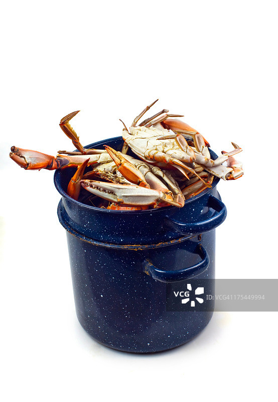 白色背景上的蓝蟹海鲜锅图片素材