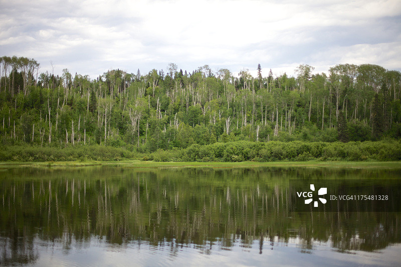 有水的荒野景观图片素材