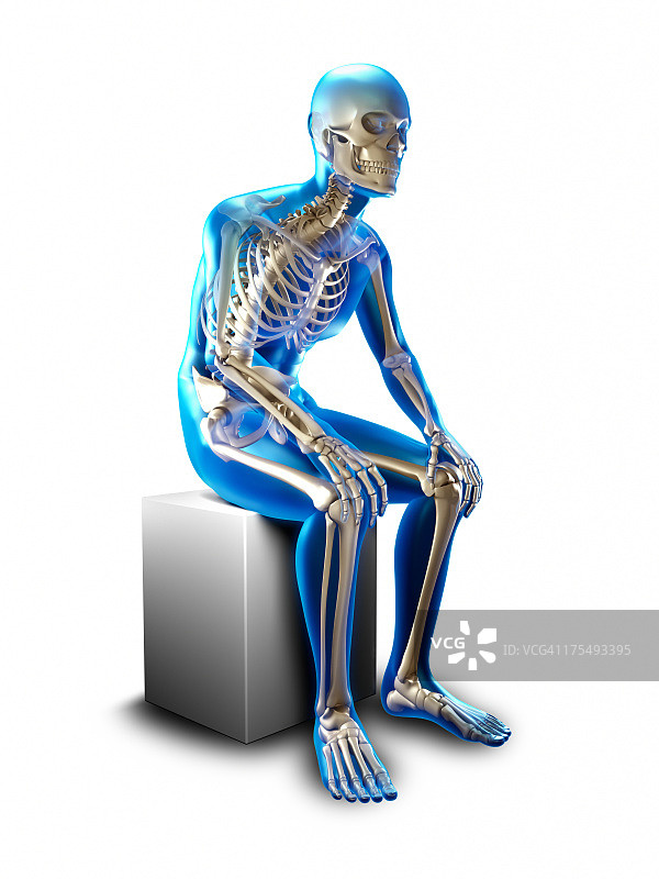 X光片：坐姿人物，带裁剪路径图片素材